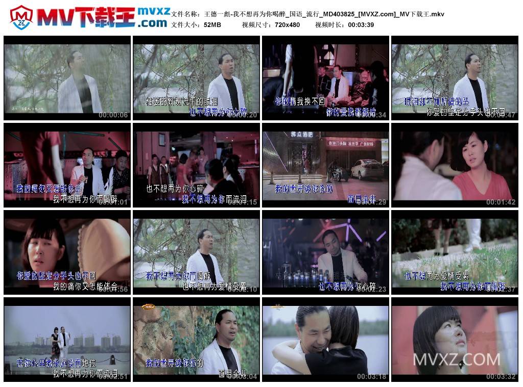王德一彪-我不想再为你喝醉_国语_流行_MD403825